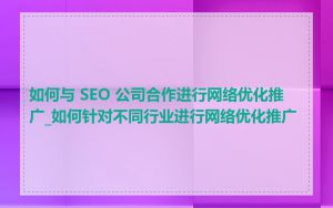 如何与 SEO 公司合作进行网络优化推广_如何针对不同行业进行网络优化推广