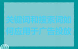 关键词和搜索词如何应用于广告投放