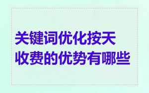 关键词优化按天收费的优势有哪些