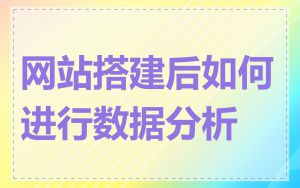 网站搭建后如何进行数据分析
