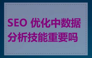SEO 优化中数据分析技能重要吗