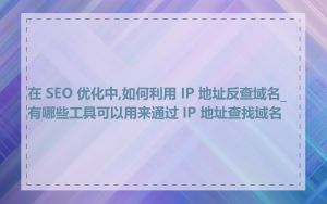 在 SEO 优化中,如何利用 IP 地址反查域名_有哪些工具可以用来通过 IP 地址查找域名