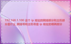 192.168.1.100 这个 ip 地址的网络部分和主机部分是什么_网络号和主机号是 ip 地址的哪两部分