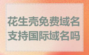 花生壳免费域名支持国际域名吗