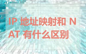IP 地址映射和 NAT 有什么区别
