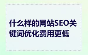 什么样的网站SEO关键词优化费用更低