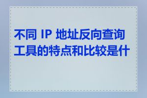 不同 IP 地址反向查询工具的特点和比较是什么
