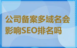 公司备案多域名会影响SEO排名吗
