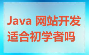 Java 网站开发适合初学者吗