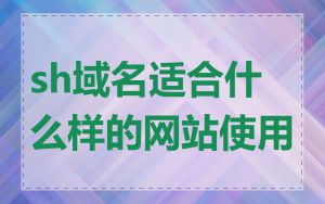 sh域名适合什么样的网站使用