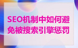 SEO机制中如何避免被搜索引擎惩罚