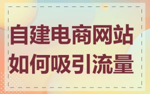 自建电商网站如何吸引流量
