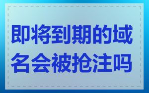 即将到期的域名会被抢注吗