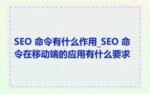 SEO 命令有什么作用_SEO 命令在移动端的应用有什么要求