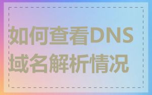 如何查看DNS域名解析情况