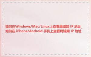 如何在Windows/Mac/Linux上查看局域网 IP 地址_如何在 iPhone/Android 手机上查看局域网 IP 地址