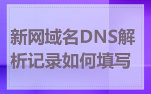 新网域名DNS解析记录如何填写
