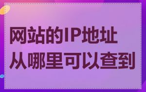 网站的IP地址从哪里可以查到