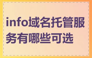 info域名托管服务有哪些可选