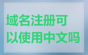 域名注册可以使用中文吗