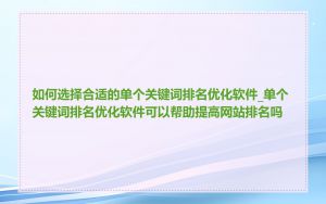 如何选择合适的单个关键词排名优化软件_单个关键词排名优化软件可以帮助提高网站排名吗
