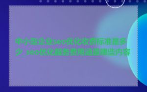 中小型企业seo优化收费标准是多少_seo优化服务费用涵盖哪些内容