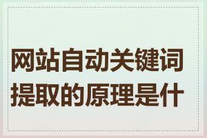 网站自动关键词提取的原理是什么