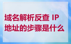 域名解析反查 IP 地址的步骤是什么
