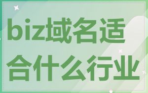biz域名适合什么行业