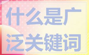 什么是广泛关键词