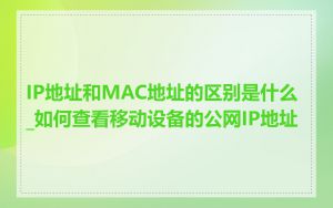 IP地址和MAC地址的区别是什么_如何查看移动设备的公网IP地址