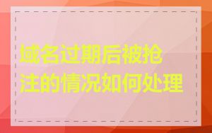 域名过期后被抢注的情况如何处理