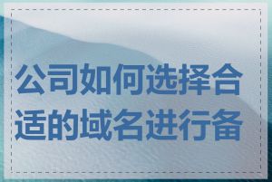 公司如何选择合适的域名进行备案