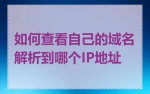 如何查看自己的域名解析到哪个IP地址