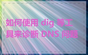 如何使用 dig 等工具来诊断 DNS 问题