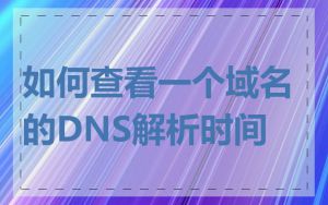 如何查看一个域名的DNS解析时间