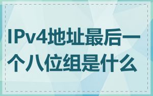 IPv4地址最后一个八位组是什么