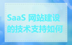 SaaS 网站建设的技术支持如何