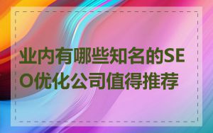 业内有哪些知名的SEO优化公司值得推荐