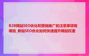 B2B网站SEO优化和营销推广的注意事项有哪些_新站SEO优化如何快速提升网站权重