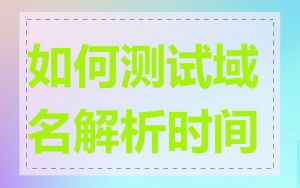 如何测试域名解析时间