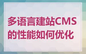 多语言建站CMS的性能如何优化