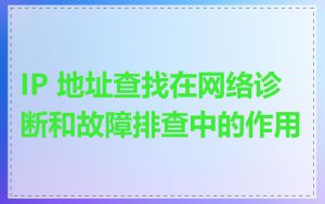 IP 地址查找在网络诊断和故障排查中的作用