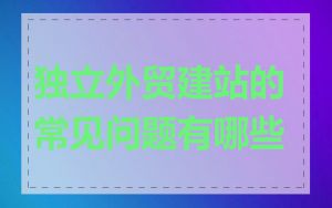 独立外贸建站的常见问题有哪些