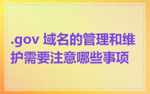 .gov 域名的管理和维护需要注意哪些事项