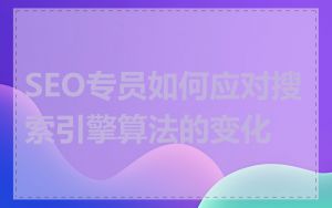 SEO专员如何应对搜索引擎算法的变化