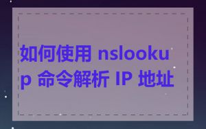 如何使用 nslookup 命令解析 IP 地址