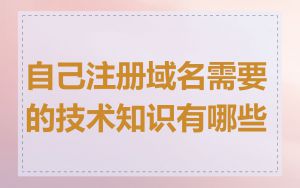 自己注册域名需要的技术知识有哪些