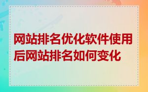网站排名优化软件使用后网站排名如何变化