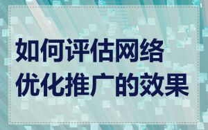 如何评估网络优化推广的效果